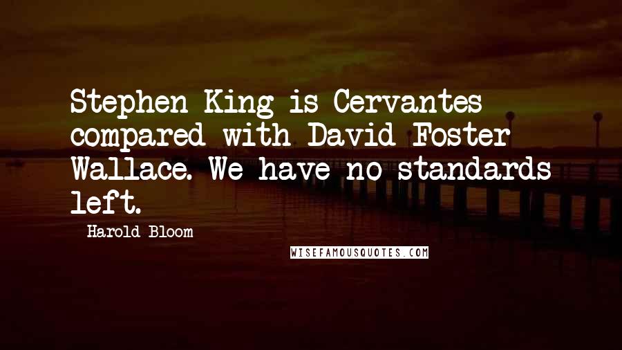 Harold Bloom quotes: Stephen King is Cervantes compared with David Foster Wallace. We have no standards left.