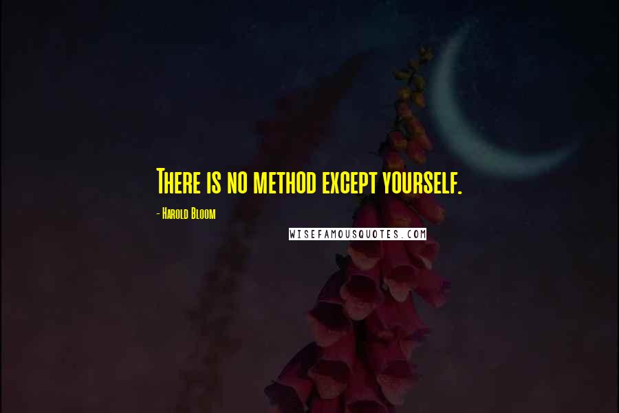 Harold Bloom quotes: There is no method except yourself.
