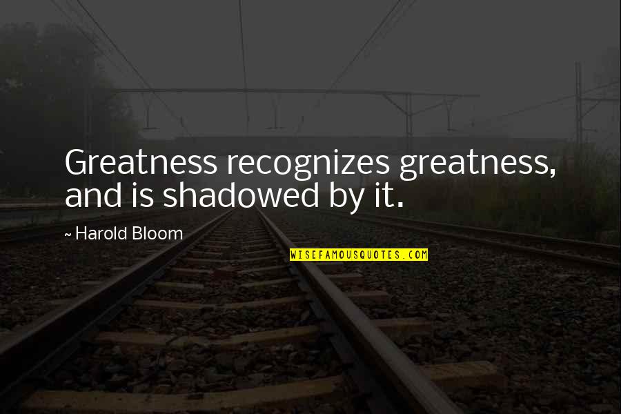 Harold Bloom Quotes By Harold Bloom: Greatness recognizes greatness, and is shadowed by it.
