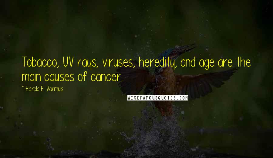 Harold E. Varmus quotes: Tobacco, UV rays, viruses, heredity, and age are the main causes of cancer.