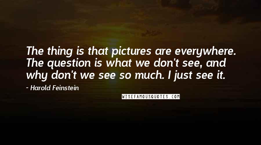 Harold Feinstein quotes: The thing is that pictures are everywhere. The question is what we don't see, and why don't we see so much. I just see it.