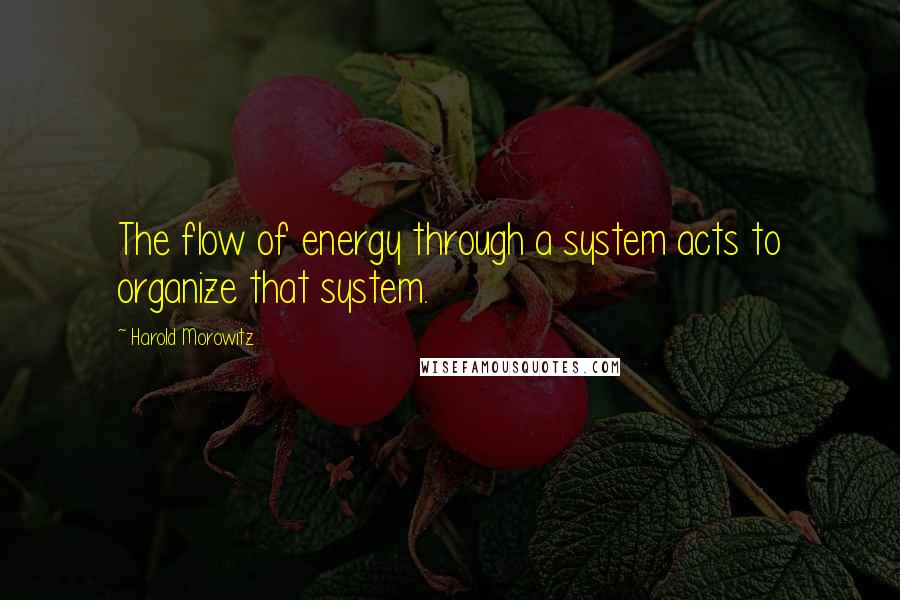 Harold Morowitz quotes: The flow of energy through a system acts to organize that system.