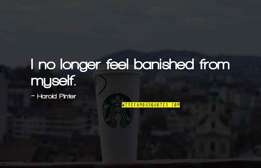 Harold Pinter Quotes By Harold Pinter: I no longer feel banished from myself. Harold Pinter Quotes By Harold Pinter: I no longer feel banished from myself.