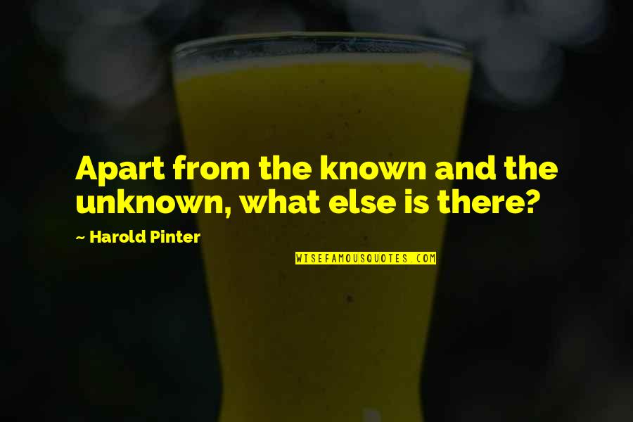 Harold Pinter Quotes By Harold Pinter: Apart from the known and the unknown, what Harold Pinter Quotes By Harold Pinter: Apart from the known and the unknown, what
