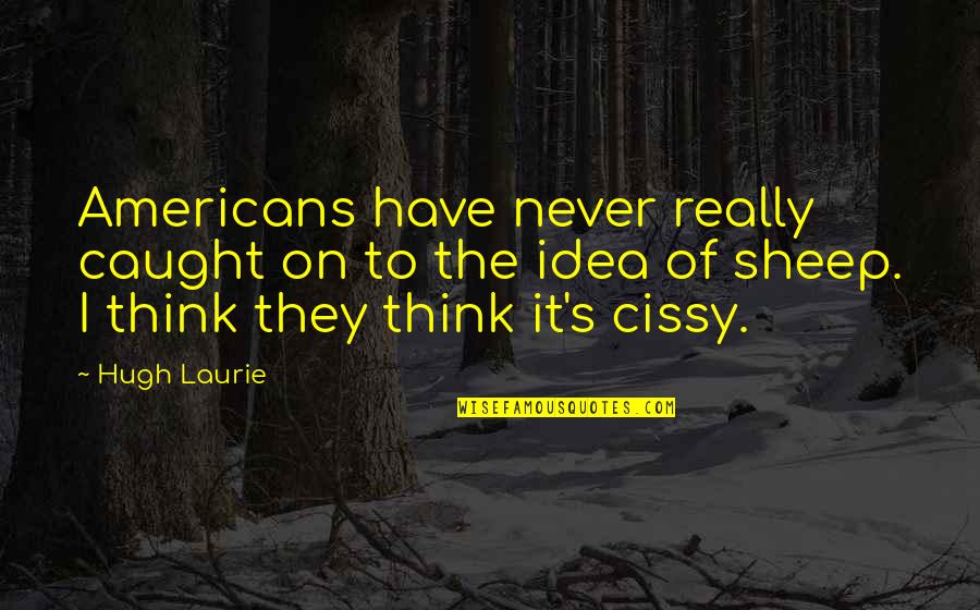 Haroula Koutsidis Quotes By Hugh Laurie: Americans have never really caught on to the