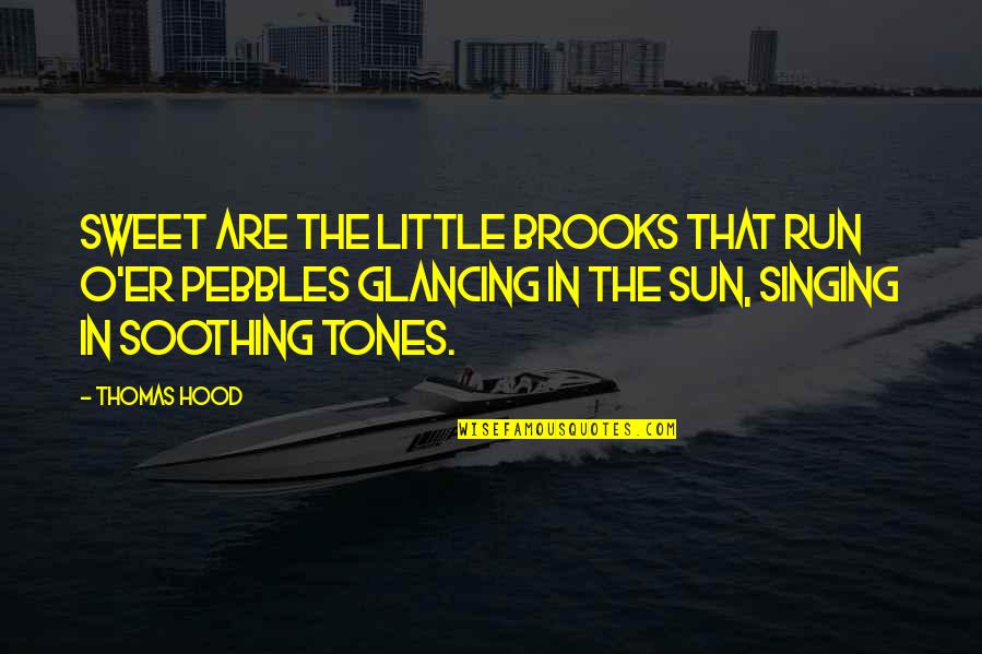 Haroun And The Sea Of Stories Chapter 9 Quotes By Thomas Hood: Sweet are the little brooks that run O'er
