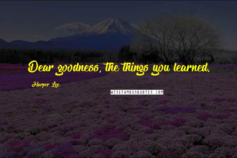 Harper Lee quotes: Dear goodness, the things you learned.