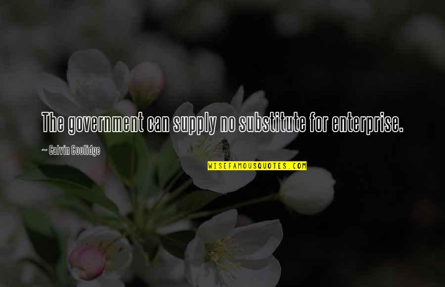 Harpings Quotes By Calvin Coolidge: The government can supply no substitute for enterprise. Harpings Quotes By Calvin Coolidge: The government can supply no substitute for enterprise.