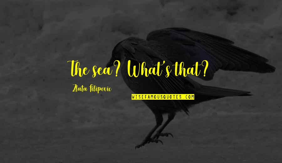 Harpooned Quotes By Zlata Filipovic: The sea? What's that?