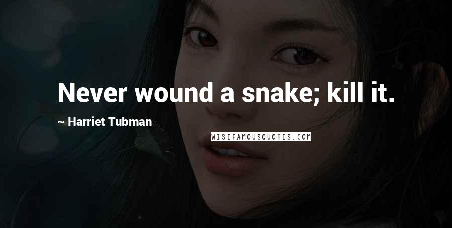 Harriet Tubman quotes: Never wound a snake; kill it.