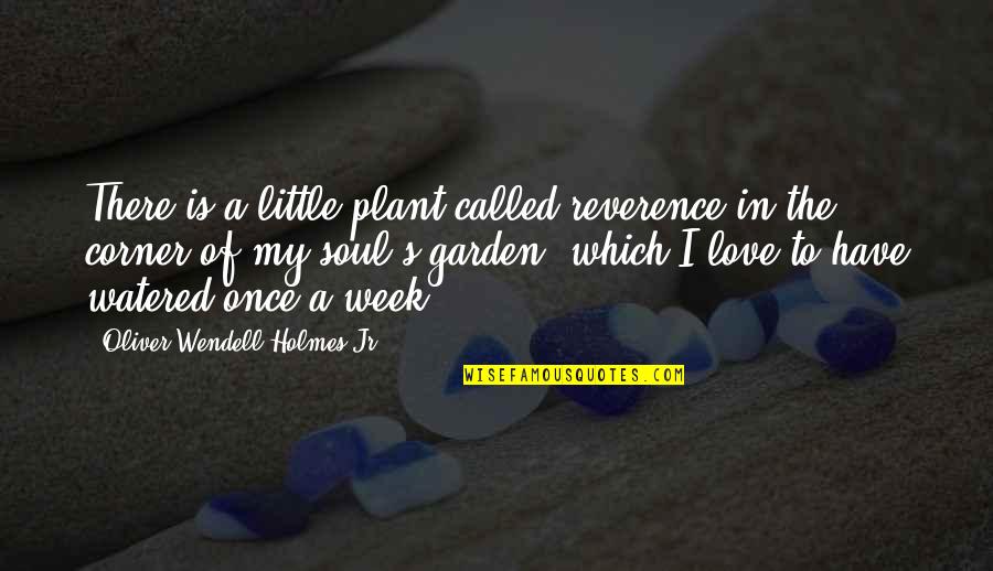 Harriet Vanger Quotes By Oliver Wendell Holmes Jr.: There is a little plant called reverence in