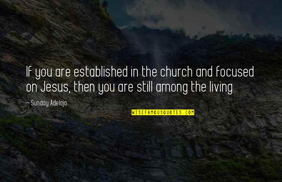 Harrison Garrett Quotes By Sunday Adelaja: If you are established in the church and Harrison Garrett Quotes By Sunday Adelaja: If you are established in the church and
