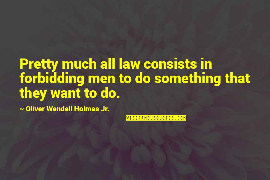 Harrison Mccann Quotes By Oliver Wendell Holmes Jr.: Pretty much all law consists in forbidding men Harrison Mccann Quotes By Oliver Wendell Holmes Jr.: Pretty much all law consists in forbidding men