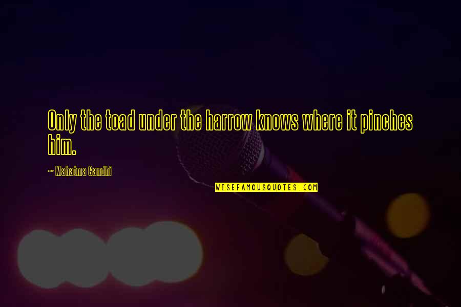 Harrow's Quotes By Mahatma Gandhi: Only the toad under the harrow knows where Harrow's Quotes By Mahatma Gandhi: Only the toad under the harrow knows where
