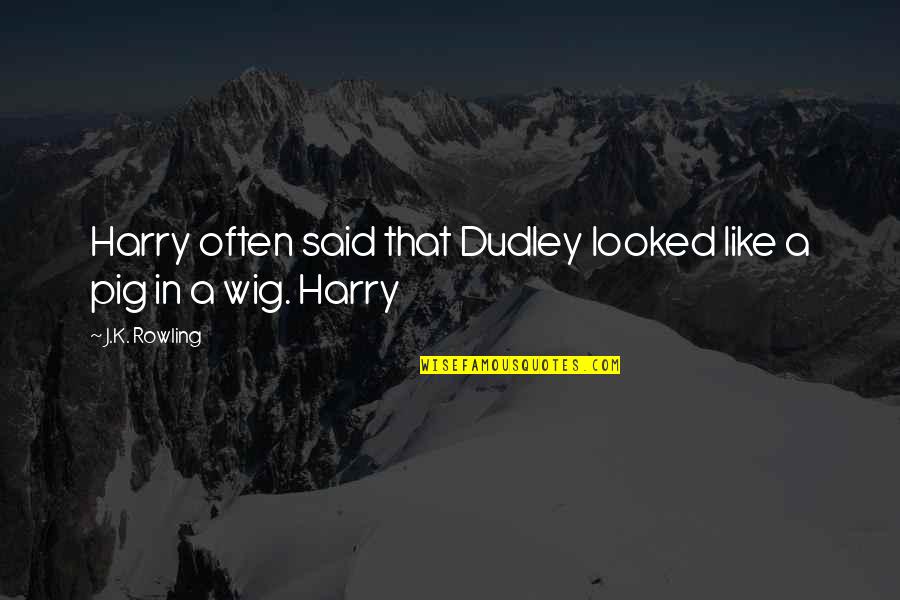 Harry And Dudley Quotes By J.K. Rowling: Harry often said that Dudley looked like a