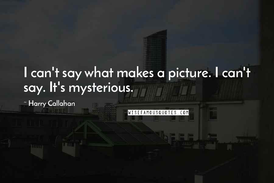 Harry Callahan quotes: I can't say what makes a picture. I can't say. It's mysterious.