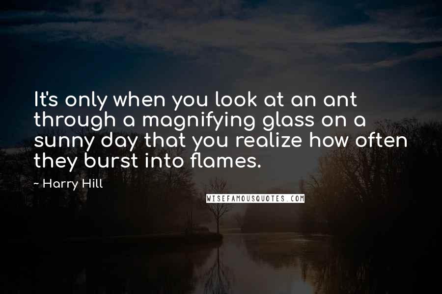 Harry Hill quotes: It's only when you look at an ant through a magnifying glass on a sunny day that you realize how often they burst into flames.