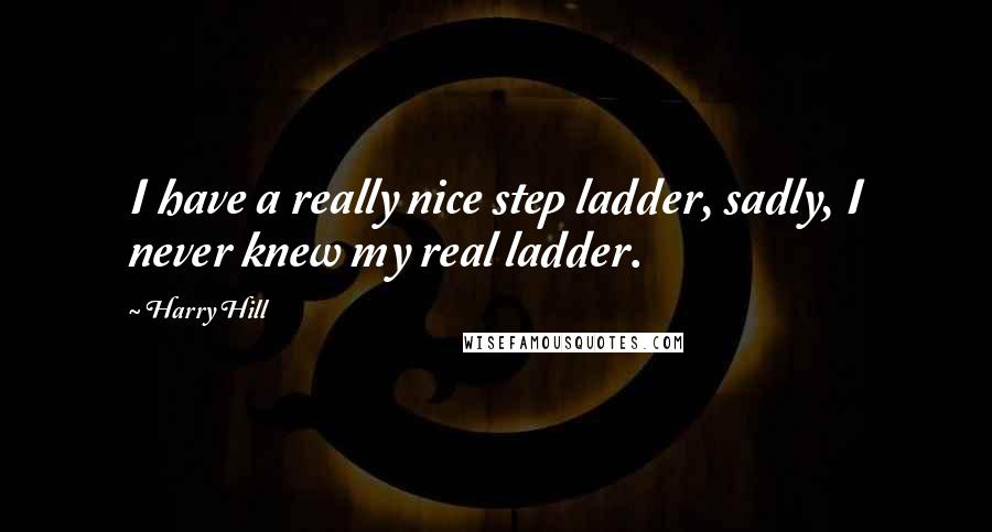 Harry Hill quotes: I have a really nice step ladder, sadly, I never knew my real ladder.