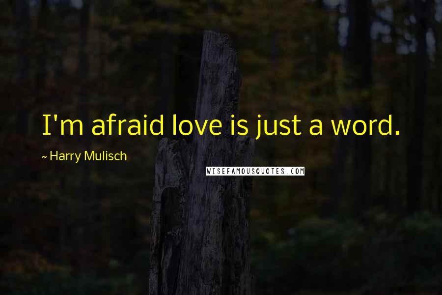 Harry Mulisch quotes: I'm afraid love is just a word.