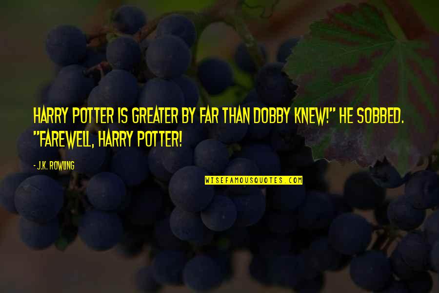 Harry Potter 5 Quotes By J.K. Rowling: Harry Potter is greater by far than Dobby