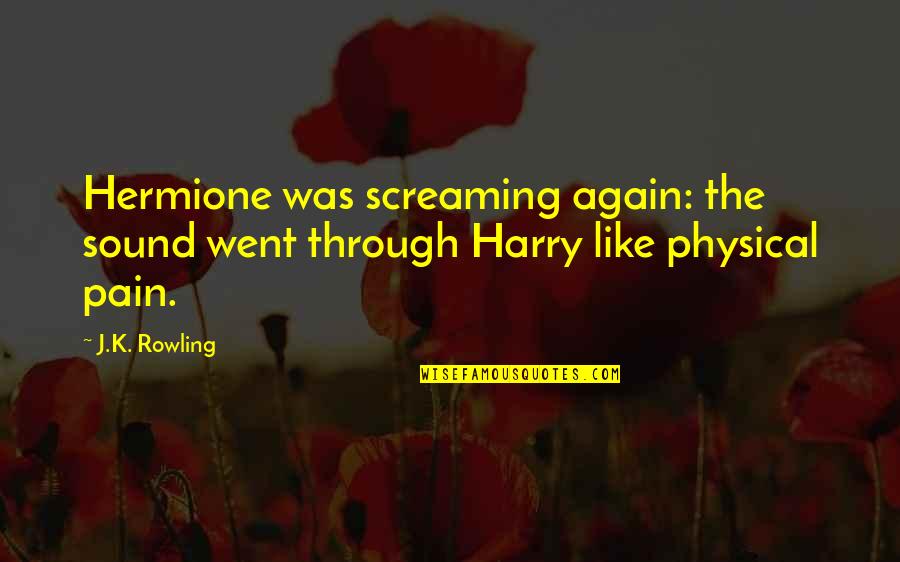 Harry Potter And Hermione Granger Friendship Quotes By J.K. Rowling: Hermione was screaming again: the sound went through
