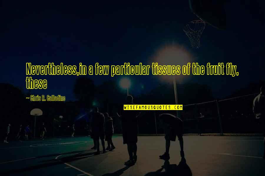 Harry Potter Chamber Of Secrets Book Quotes By Chris R. Calladine: Nevertheless,in a few particular tissues of the fruit Harry Potter Chamber Of Secrets Book Quotes By Chris R. Calladine: Nevertheless,in a few particular tissues of the fruit