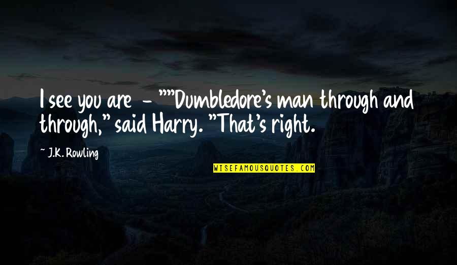 Harry Potter Harry Quotes By J.K. Rowling: I see you are - ""Dumbledore's man through