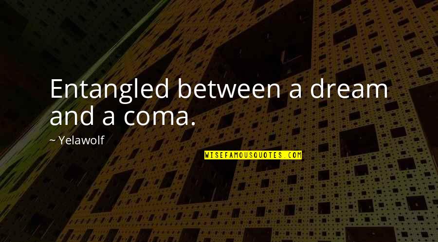 Harry Potter Mental Health Quotes By Yelawolf: Entangled between a dream and a coma.