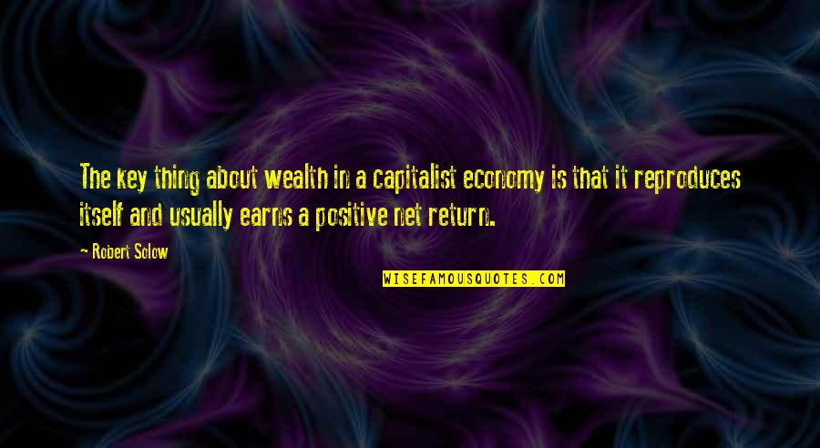 Harry Potter Spells Quotes By Robert Solow: The key thing about wealth in a capitalist