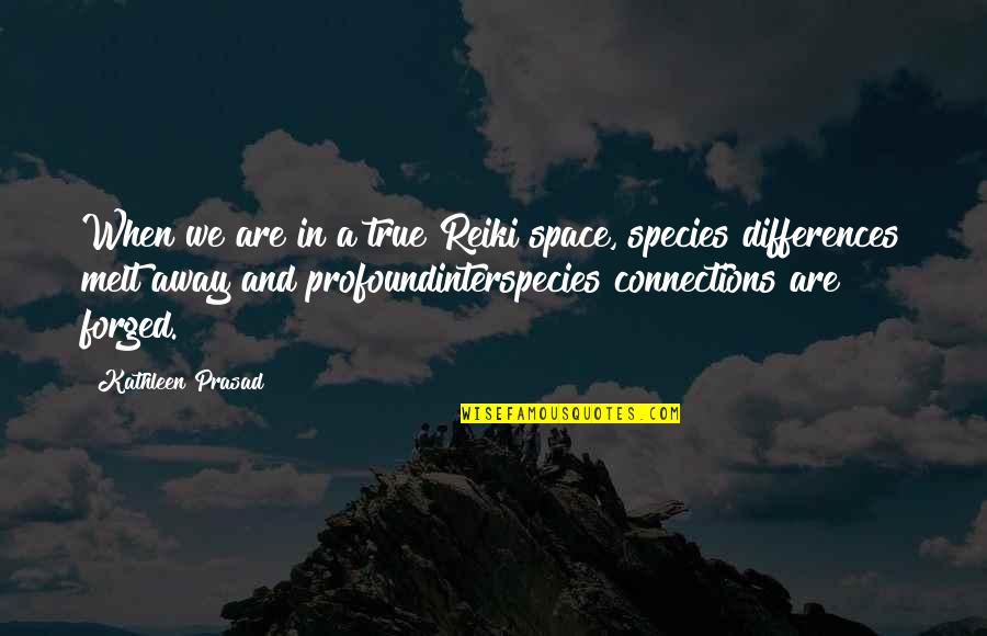 Harry Reasoner Helicopter Quote Quotes By Kathleen Prasad: When we are in a true Reiki space,