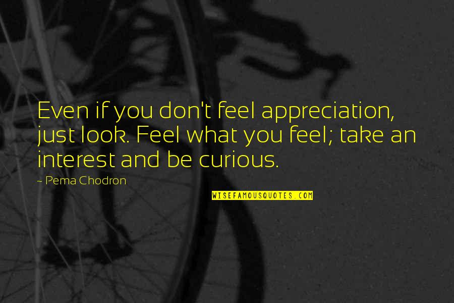 Harry Styles Birthday Quotes By Pema Chodron: Even if you don't feel appreciation, just look.