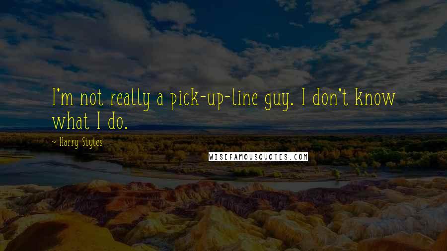 Harry Styles quotes: I'm not really a pick-up-line guy. I don't know what I do.