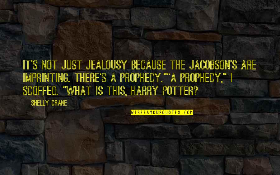 Harry's Quotes By Shelly Crane: It's not just jealousy because the Jacobson's are