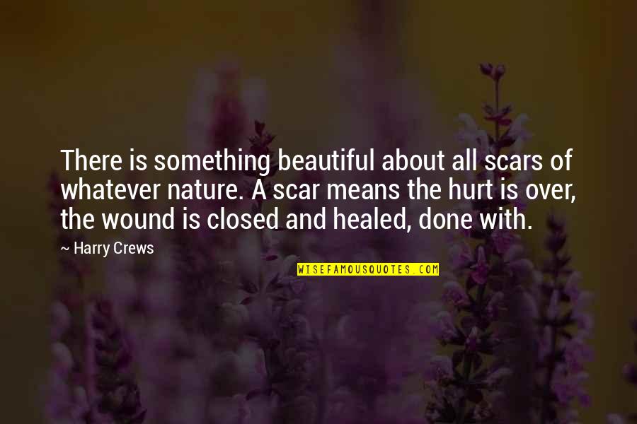 Harry's Scar Quotes By Harry Crews: There is something beautiful about all scars of
