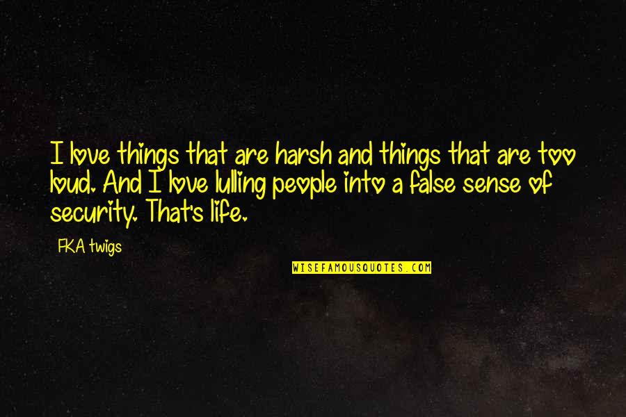 Harsh Life Quotes By FKA Twigs: I love things that are harsh and things