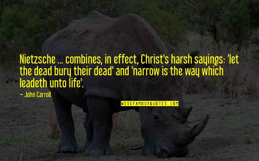 Harsh Life Quotes By John Carroll: Nietzsche ... combines, in effect, Christ's harsh sayings: