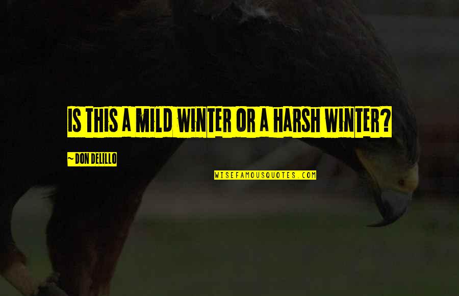 Harsh Winter Quotes By Don DeLillo: Is this a mild winter or a harsh