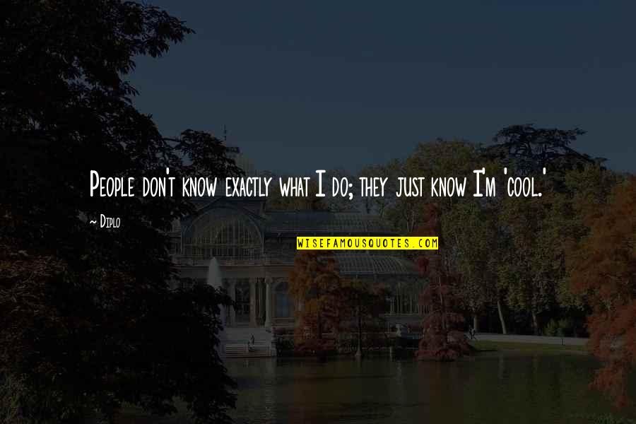 Harsha Bhogle Inspirational Quotes By Diplo: People don't know exactly what I do; they