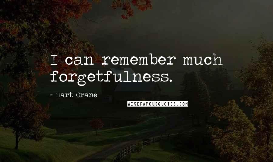 Hart Crane quotes: I can remember much forgetfulness.