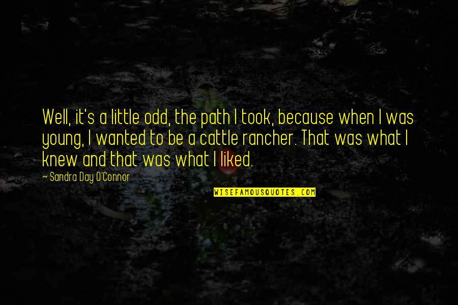 Hart En Ziel Quotes By Sandra Day O'Connor: Well, it's a little odd, the path I