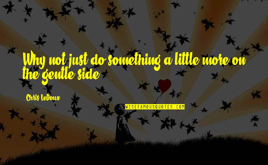 Hart Warming Quotes By Chris LeDoux: Why not just do something a little more