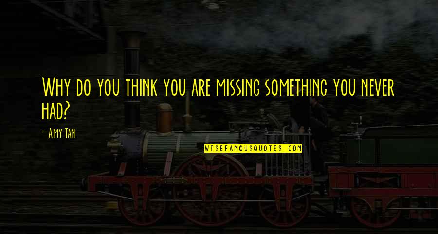 Hartvigson Quotes By Amy Tan: Why do you think you are missing something