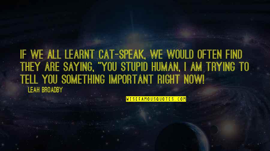 Hartzog Law Quotes By Leah Broadby: If we all learnt cat-speak, we would often Hartzog Law Quotes By Leah Broadby: If we all learnt cat-speak, we would often
