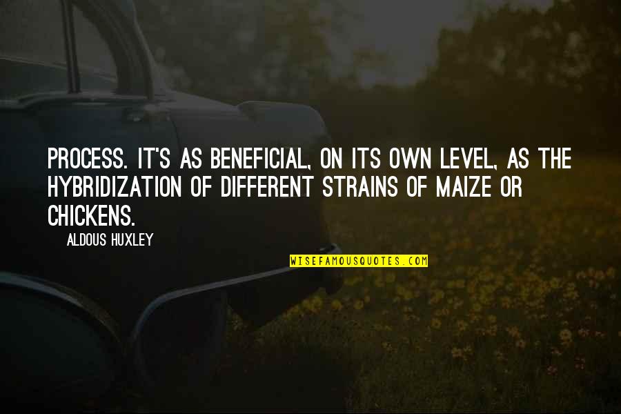 Haruki Murakami Pilgrimage Quotes By Aldous Huxley: Process. It's as beneficial, on its own level,