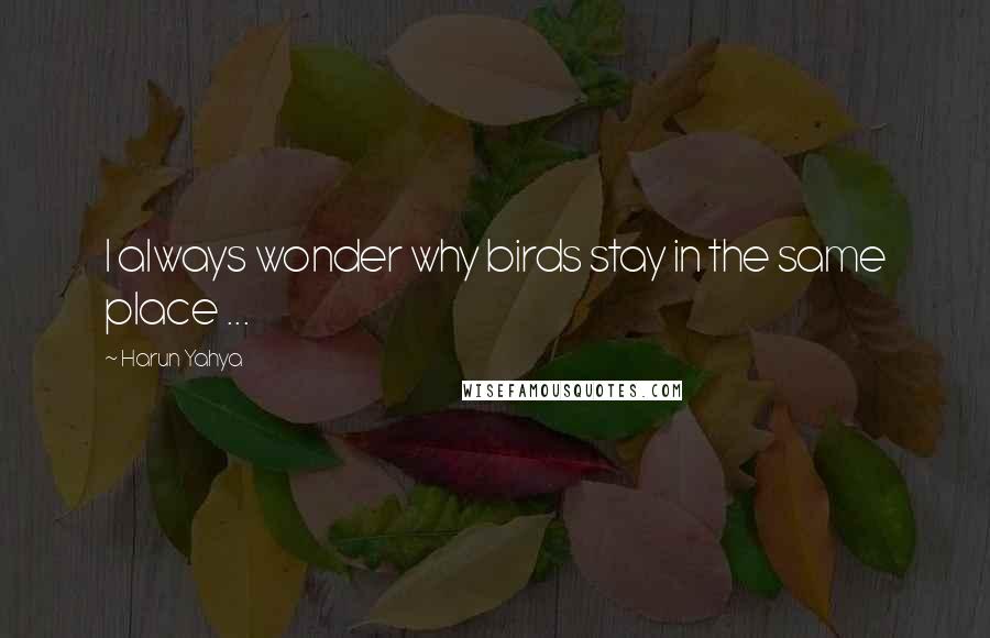 Harun Yahya quotes: I always wonder why birds stay in the same place ...