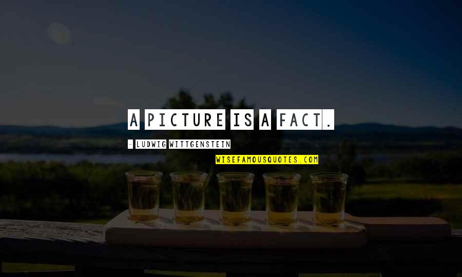 Haruno Yukinoshita Quotes By Ludwig Wittgenstein: A picture is a fact. Haruno Yukinoshita Quotes By Ludwig Wittgenstein: A picture is a fact.