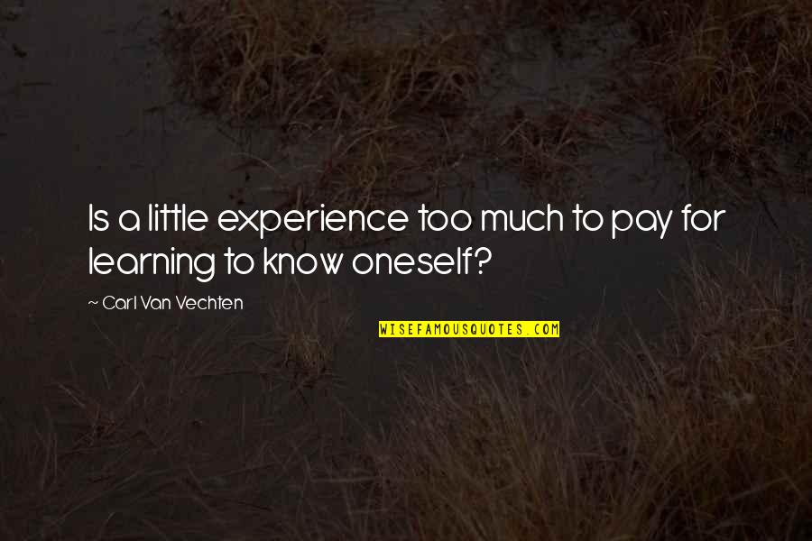 Haruru Toa Quotes By Carl Van Vechten: Is a little experience too much to pay