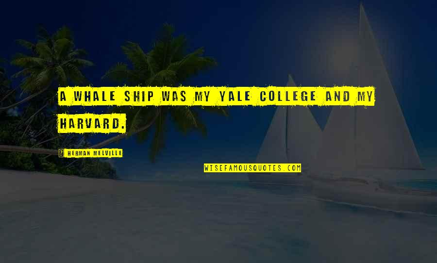 Harvard Quotes By Herman Melville: A whale ship was my Yale College and