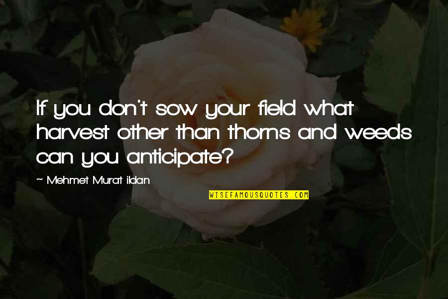 Harvest Of Thorns Quotes By Mehmet Murat Ildan: If you don't sow your field what harvest