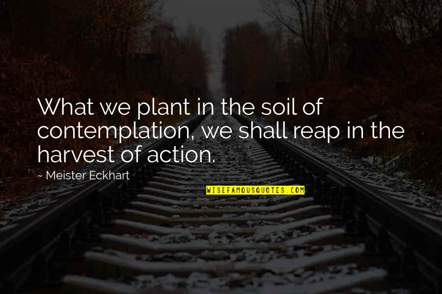 Harvest What You Plant Quotes By Meister Eckhart: What we plant in the soil of contemplation,